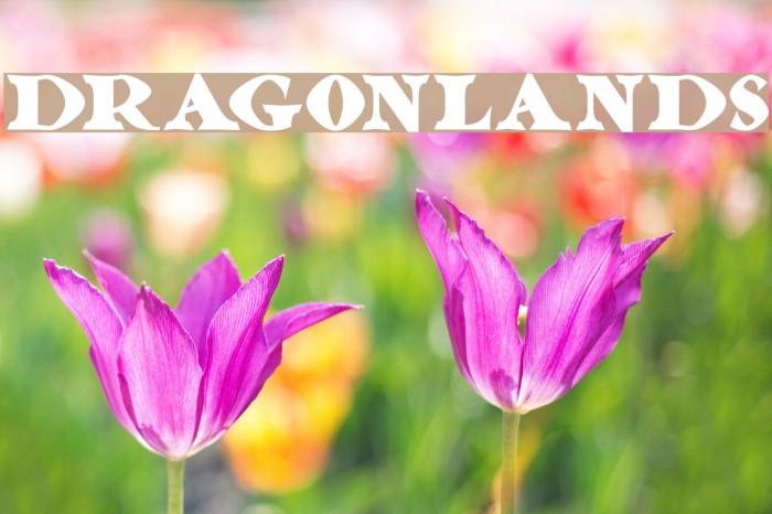 Dragonlands Font examples
