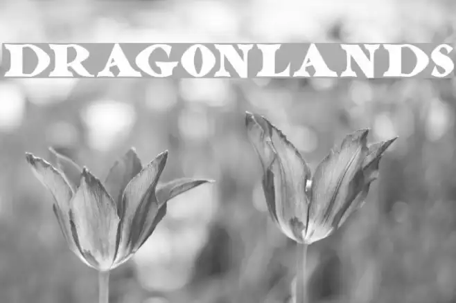 Dragonlands Example 1