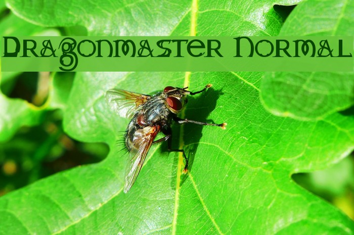 Dragonmaster Normal Font examples
