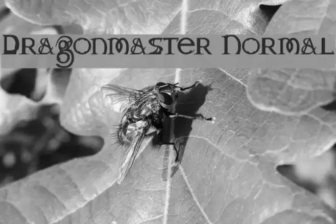 Dragonmaster Normal Schriftart examples