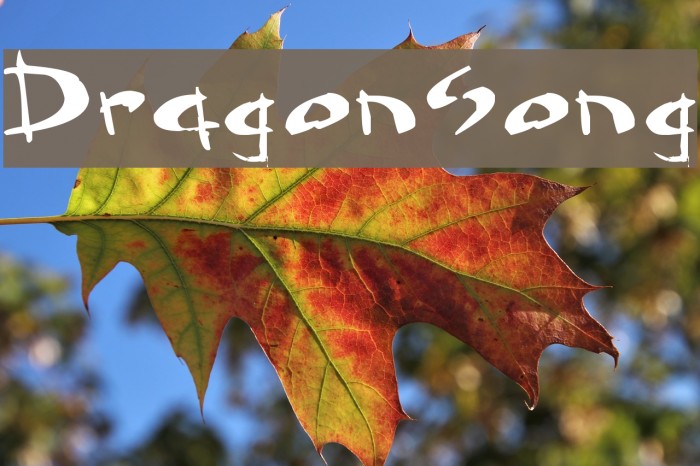 Dragonsong Font examples