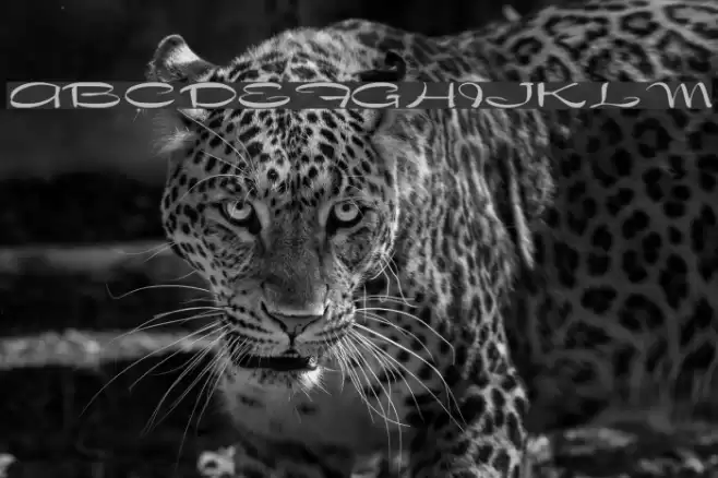 Dragonwyck Normal Шрифта examples