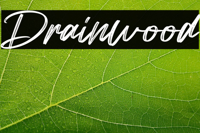 Drainwood Example 3