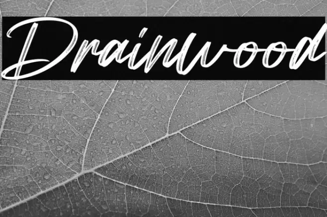 Drainwood Font examples