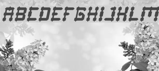 Drako Heart Italic Font examples