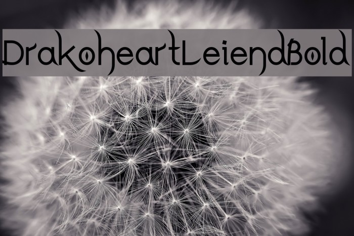 DrakoheartLeiendBold Font examples