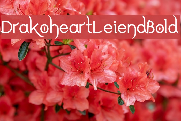 DrakoheartLeiendBold Font examples