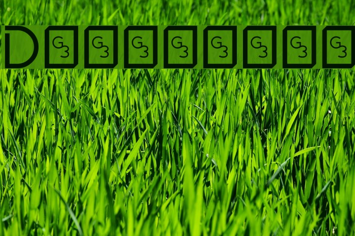 Drakolomb Font examples
