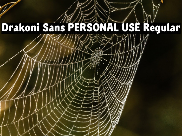 Drakoni Sans PERSONAL USE Regular Example 1