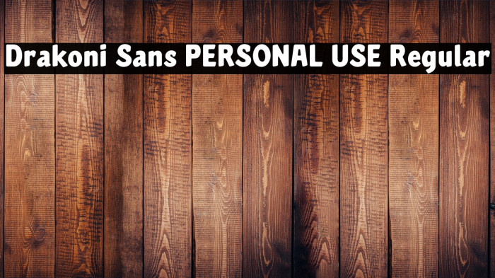 Drakoni Sans PERSONAL USE Regular Example 2