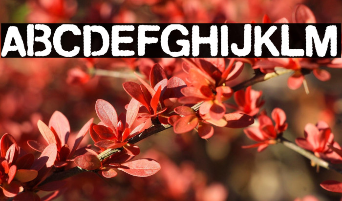 Drama Protocols Example 1