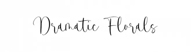 Dramatic Florals  Fuentes Gratis Descargar