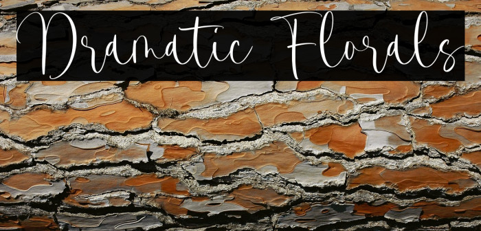 Dramatic Florals Example 1