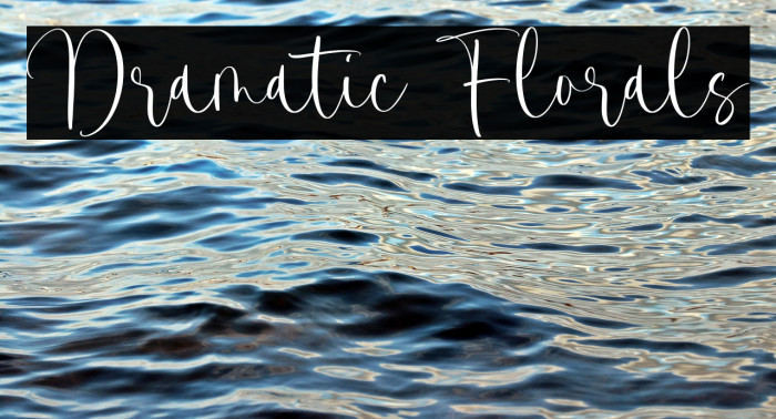 Dramatic Florals Example 3