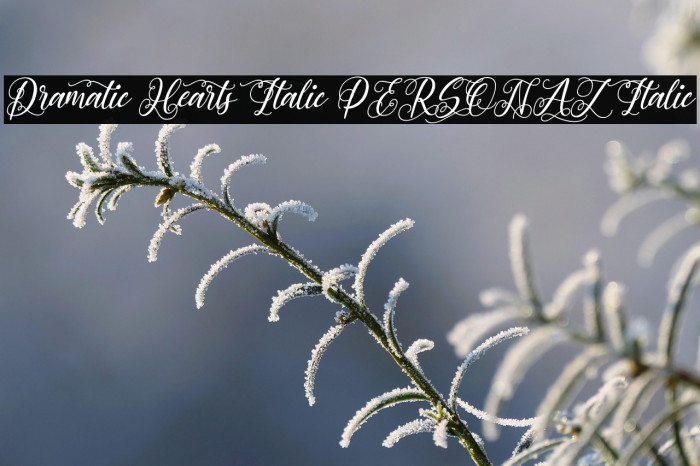 Dramatic Hearts Italic PERSONAL Italic Example 2