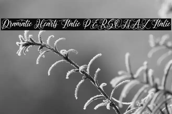 Dramatic Hearts Italic PERSONAL Italic Example 2