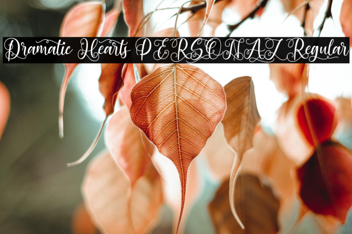 Dramatic Hearts PERSONAL Regular Example 2