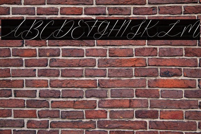 Dramatic Style (Free For Person Example 3