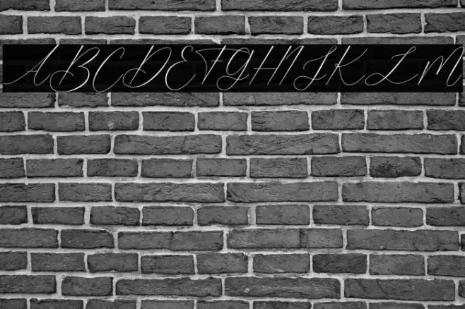 Dramatic Style (Free For Person Example 3