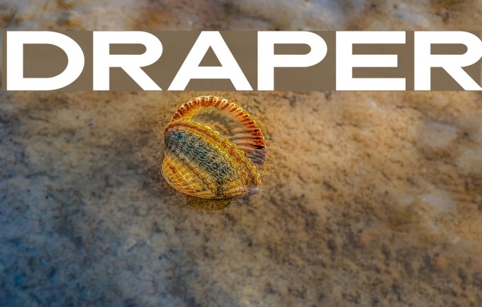 Draper Font examples
