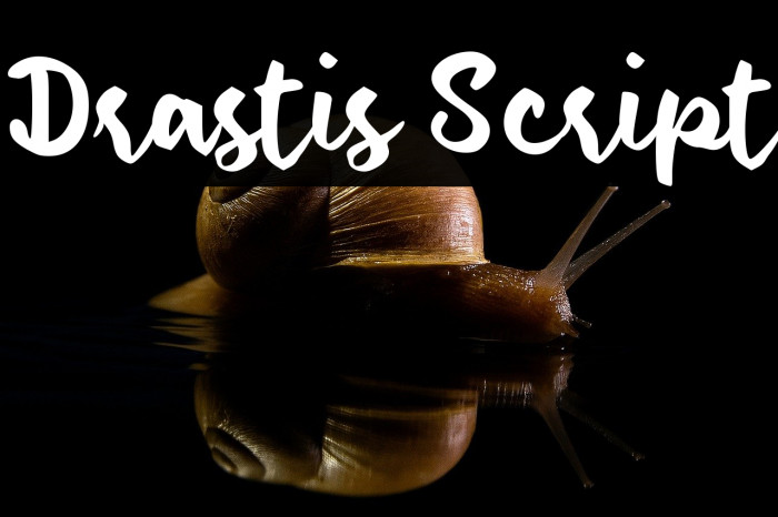 Drastis Script Example 2
