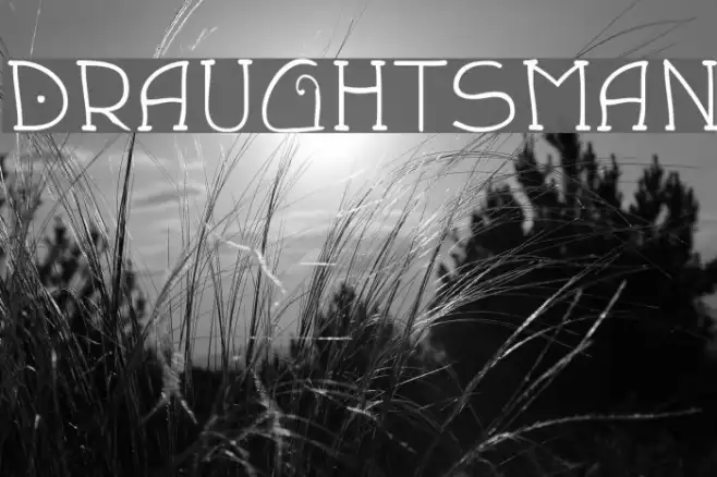 Draughtsman Example 2