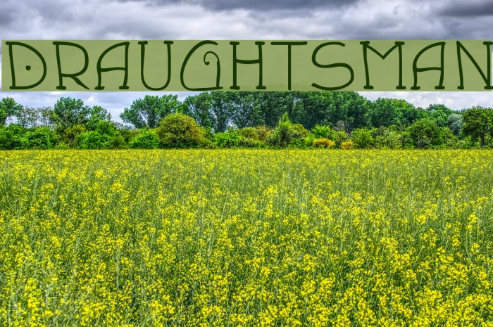 Draughtsman Font examples
