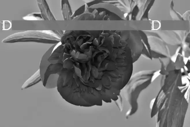 Draughtwork Demo Schriftart examples