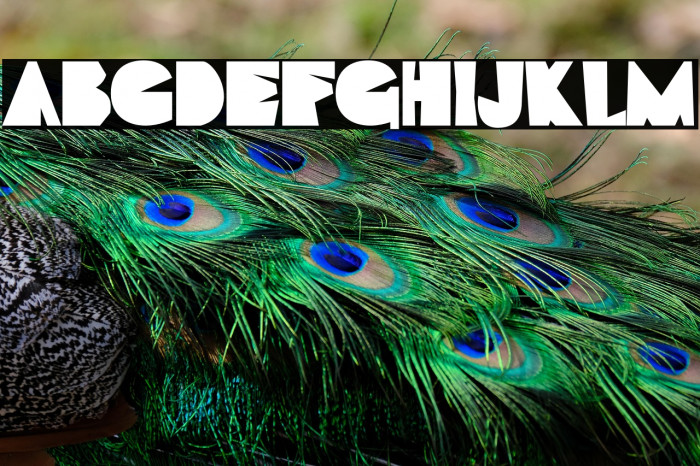 Draw And Talks Personal Used Example 1