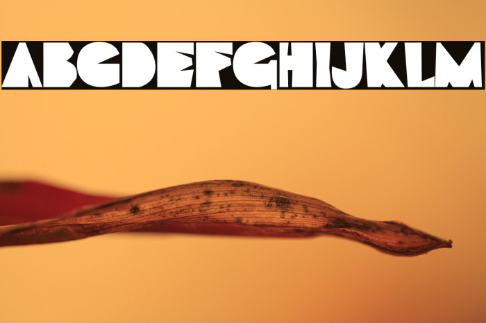 Draw And Talks Personal Used Example 2