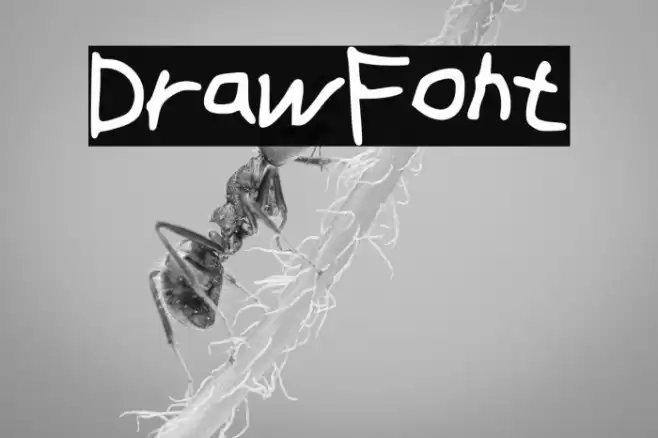 DrawFont Polices examples