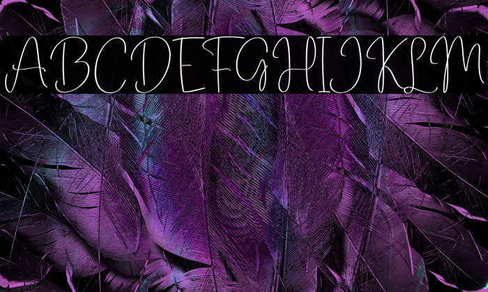 Drawing Book Example 2