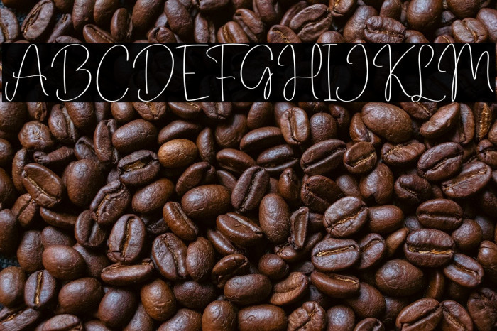 Drawing Book Example 3