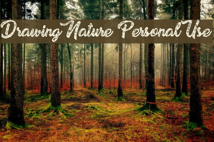 Drawing Nature Personal Use Font examples