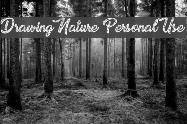 Drawing Nature Personal Use Font examples