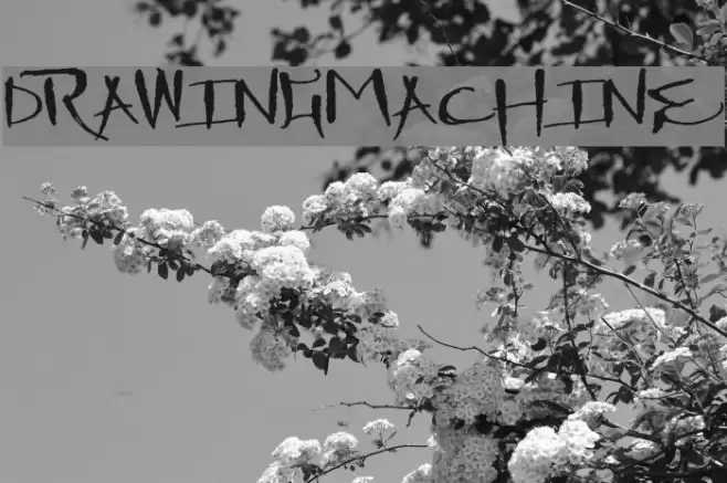DrawingMachine خط examples
