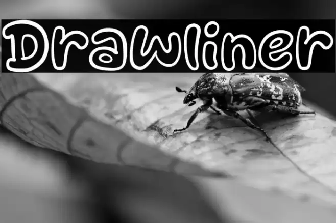 Drawliner Шрифта examples