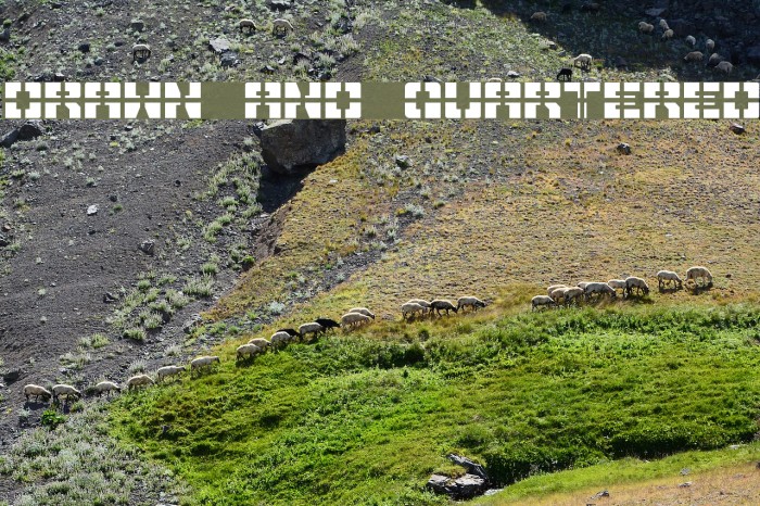 Drawn And Quartered Example 2