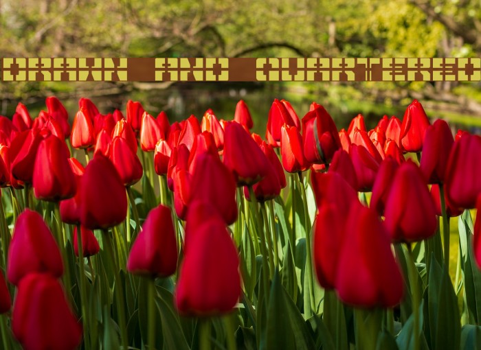 Drawn And Quartered Example 3