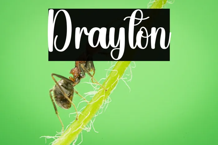 Drayton Example 1
