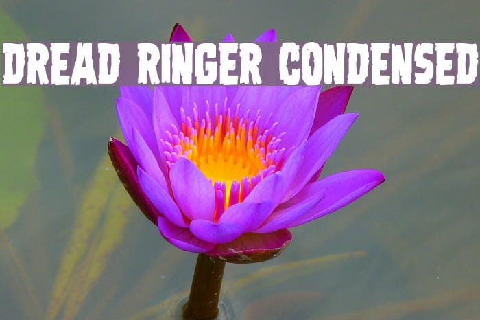Dread Ringer Condensed Font examples