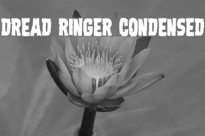 Dread Ringer Condensed Example 2