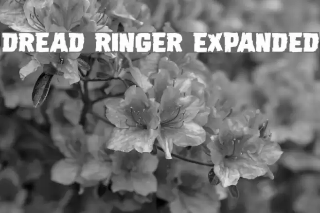 Dread Ringer Expanded Font examples