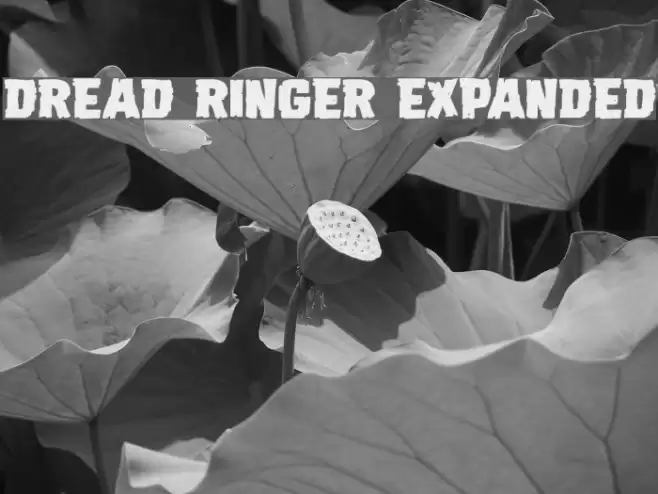 Dread Ringer Expanded Font examples