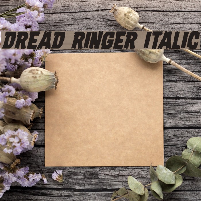 Dread Ringer Italic Font examples