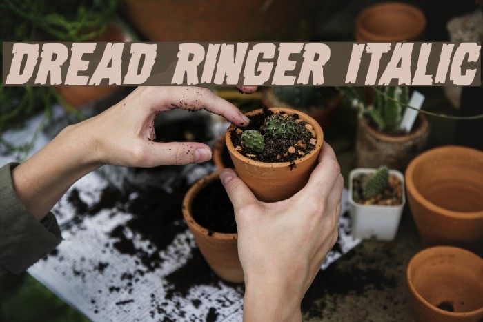 Dread Ringer Italic Font examples