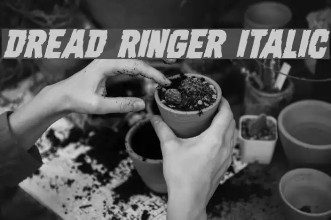 Dread Ringer Italic Example 3