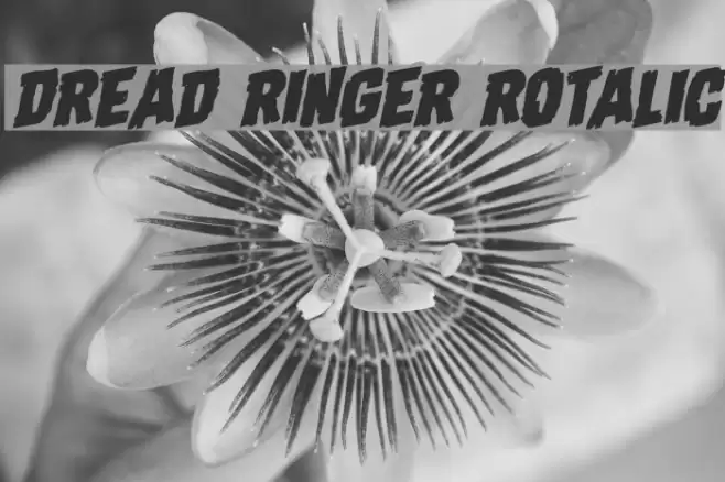 Dread Ringer Rotalic Font examples