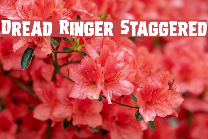 Dread Ringer Staggered Font examples