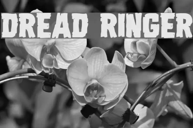 Dread Ringer Font examples